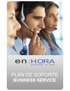 SOPORTE - PLAN BUSINESS SERVICE  Período Anual / 1 Terminal