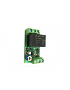 Módulo relé temporizado