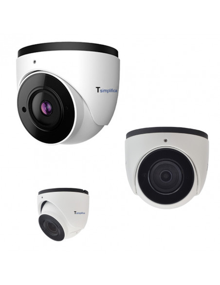 Cámara Domo 2MP IP67 IR 30m MIC PoE