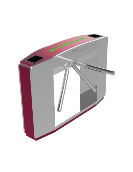 Torno motorizado personalizable en colores RAL