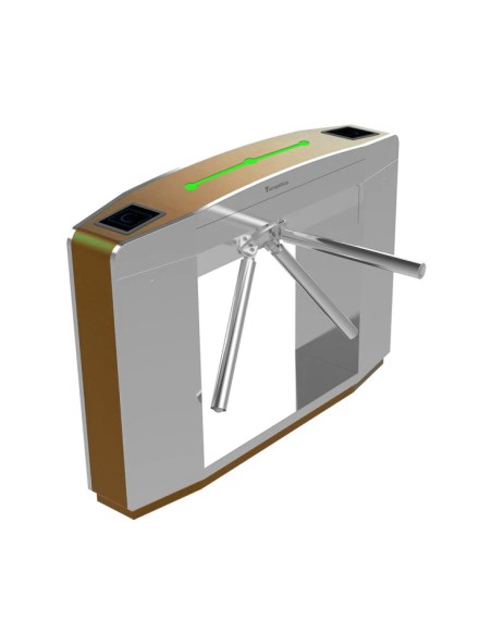 Torno motorizado personalizable en colores RAL