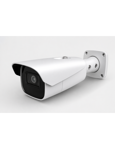Cámara con lector de matrículas para control de accesos